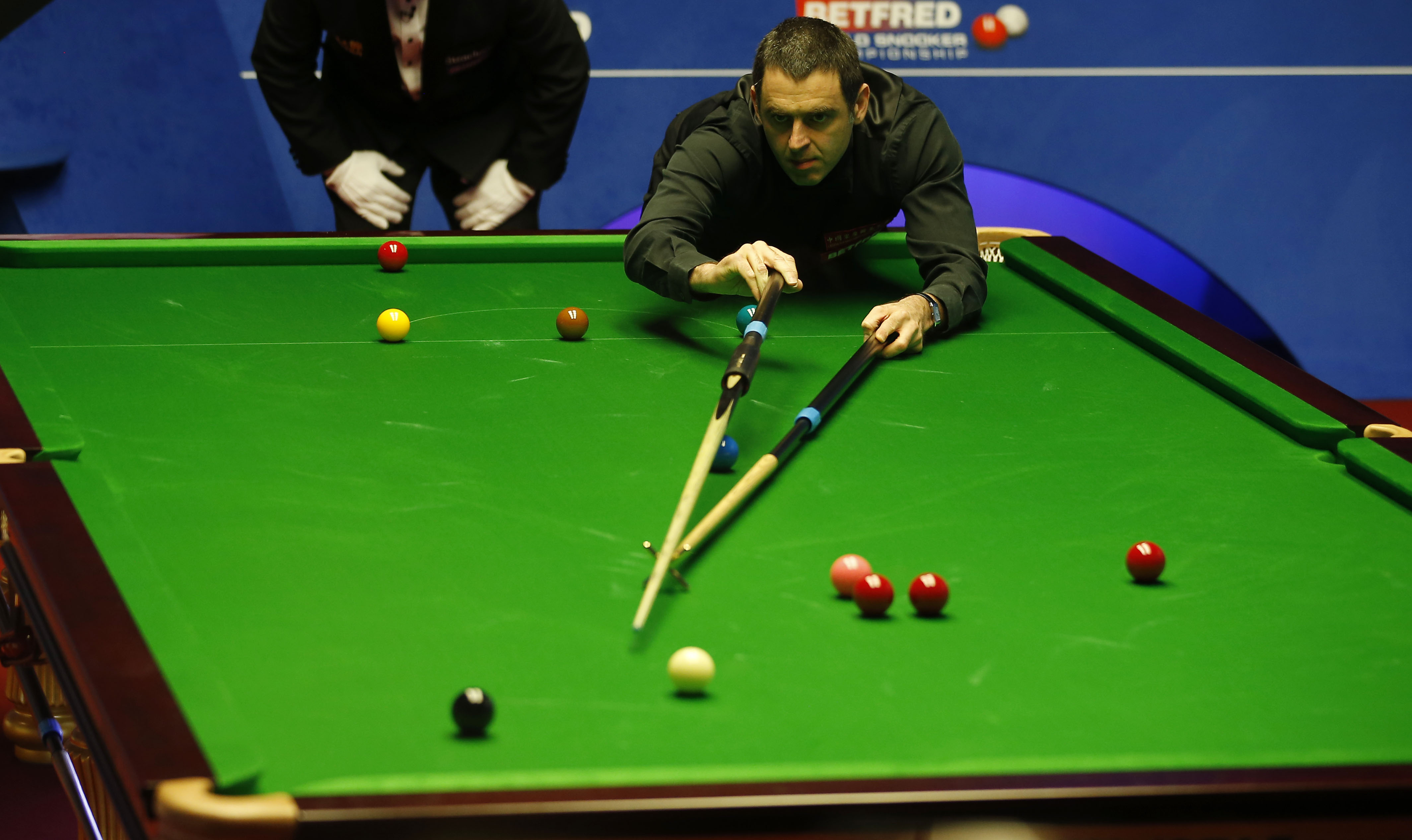 扬尼斯的参 扬尼斯的参