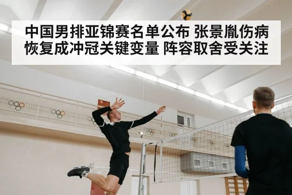 中国男排亚锦赛名单公布 张景胤伤病恢复成冲冠关键变量 阵容取舍受关注